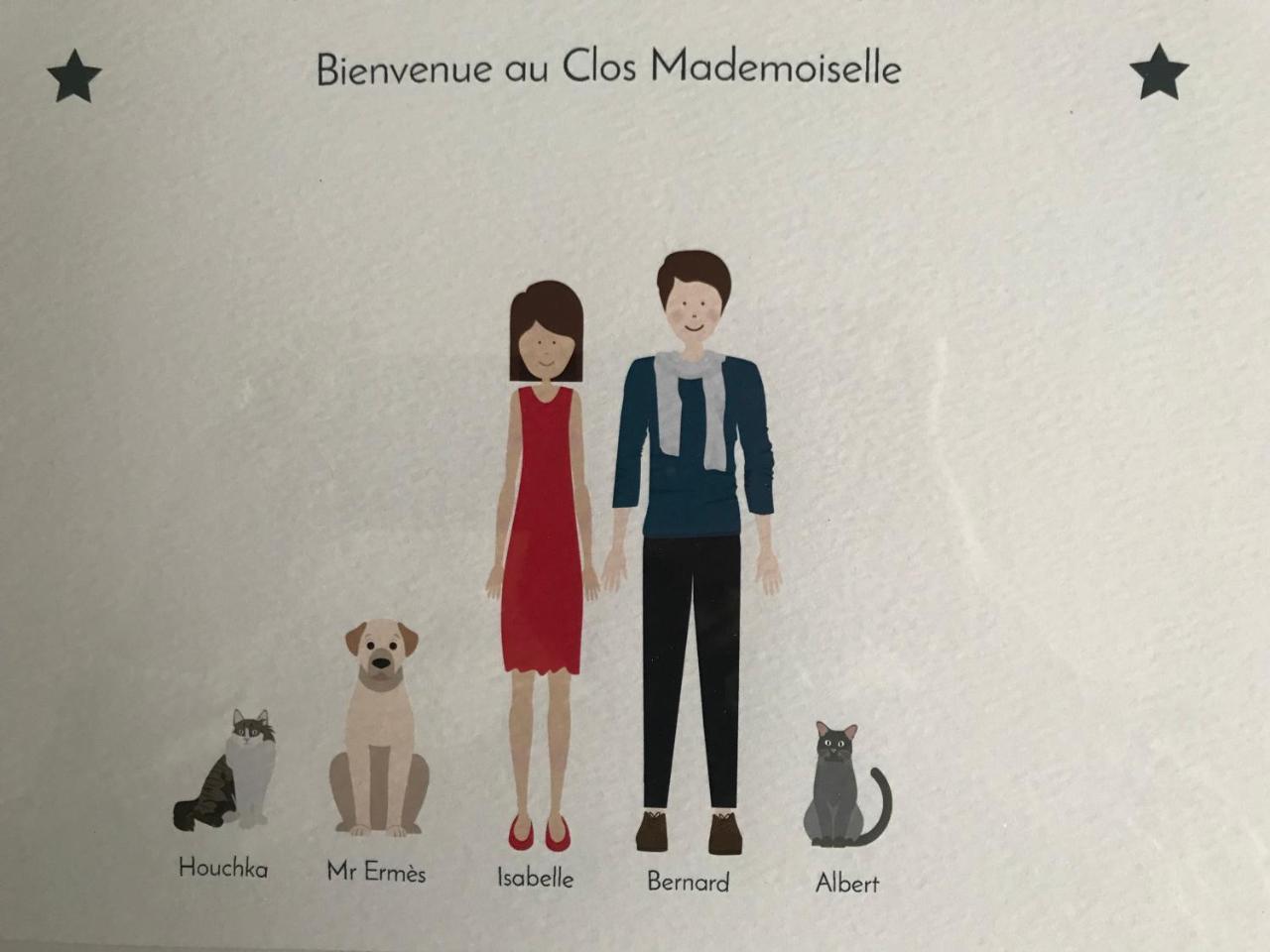 Le Clos Mademoiselle Loches Extérieur photo